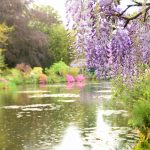 Giverny011